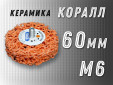 фото Зачистной круг GTOOL CD оранжевый d60мм, с хвостовиком М6, уп-ка 10шт